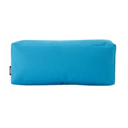 Back Light Blue